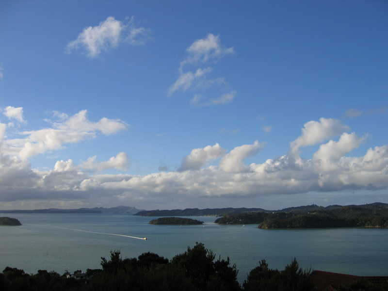 Paihia Track Lookout, next is Paihia Track Mangroves