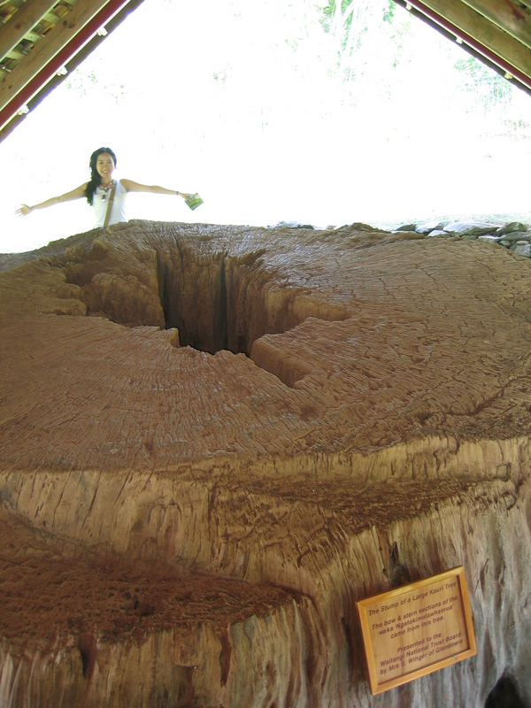 Boat Tree Stump, next is Waitangi Meeting House