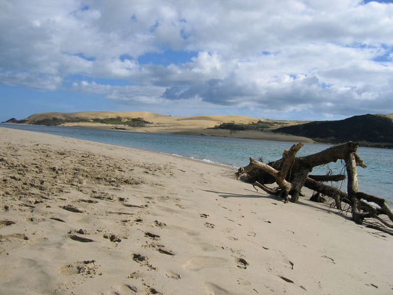 Oponini Beach, next is Baylys Beach Dunes