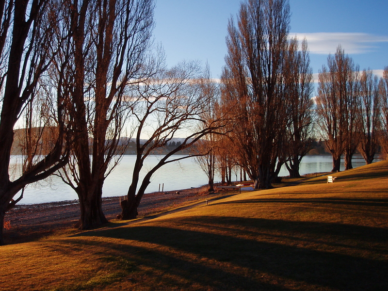 Wanaka Trees, next is Lake Wanaka