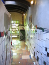 Hundertwasser Toilets (429K)