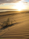 Baylys Beach Dunes (480K)