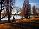 Wanaka Trees (577K)