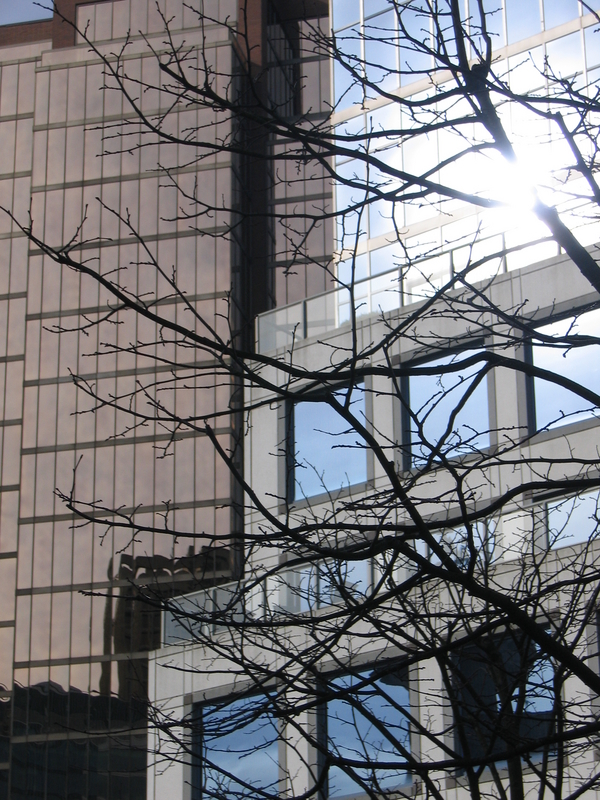 Branch Reflections, next is Mountain Harbour