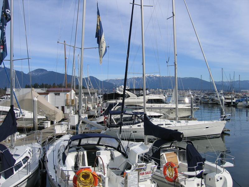 Mountain Harbour, next is Mountain Harbour