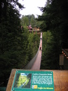 Capilano Suspension Bridge (464K)