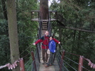 Treetop R&P (560K)