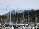 Mountain Masts (461K)