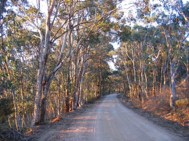 Goldern Trees, next is Yerranderie Post Office