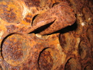 Rusty Yerranderie (574K)