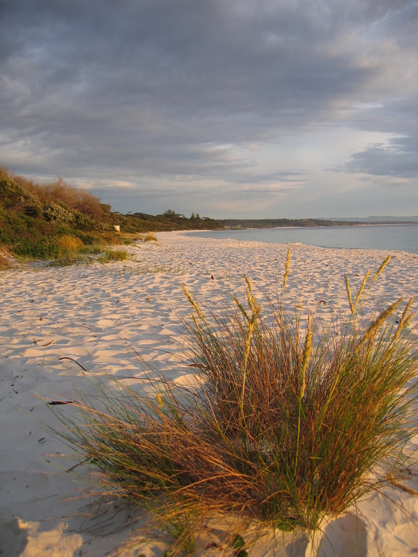 Green Patch Beach, next is Berry Store
