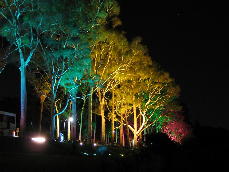Coloured Trees, next is On the Road