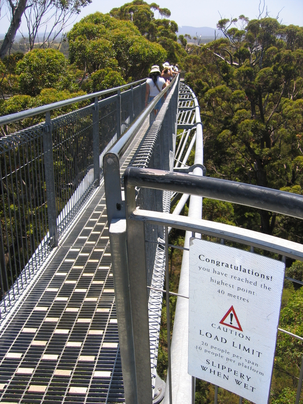 Treetop Walk, next is Treetop Walk