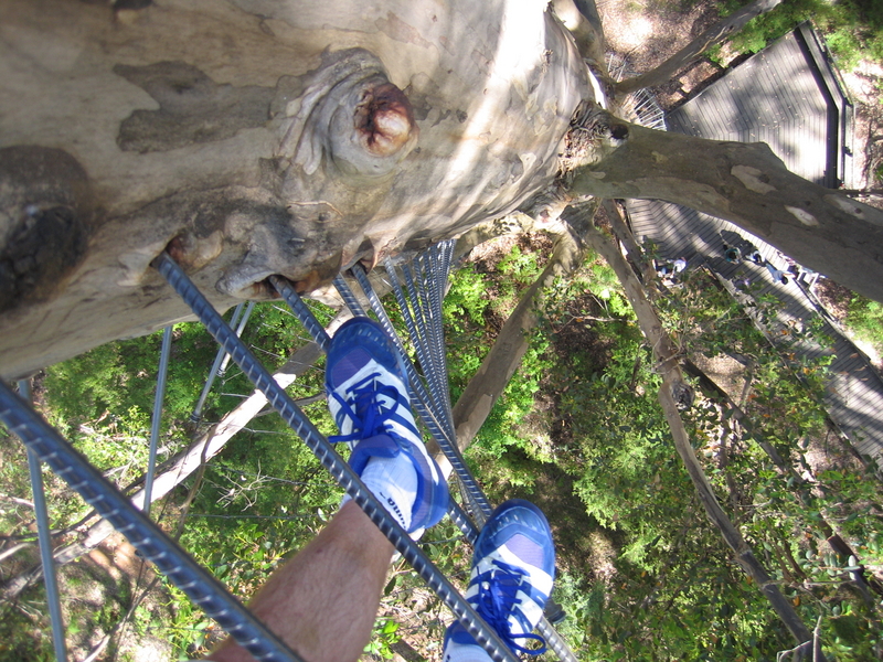 Gloucester Tree, next is Lake Cave