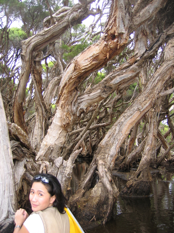Tee Tree Pratiwi, next is Nice Bees