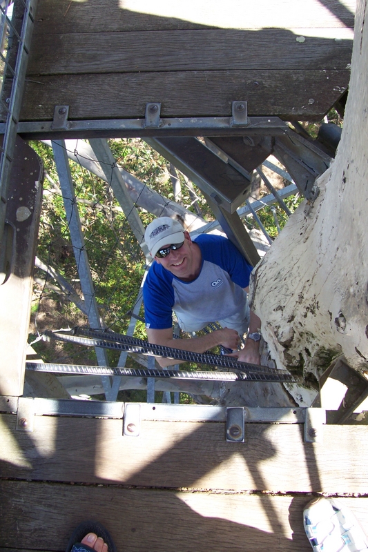 Treetop Rob, next is Gloucester Tree