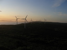 Albany Wind Farm (277K)