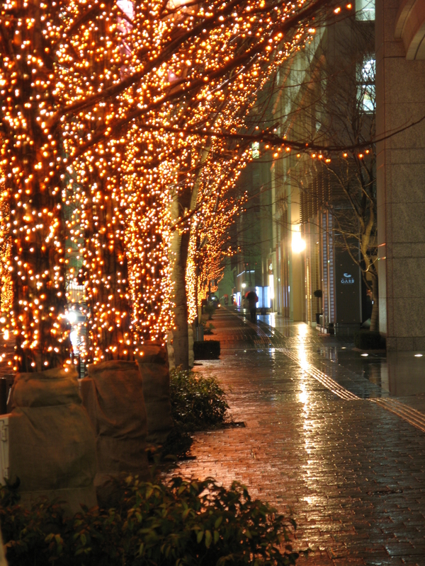 Tokyo Tree Lights, next is Tsukiji Stall