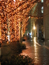 Tokyo Tree Lights (615K)