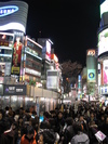 Shibuya Crowds (504K)