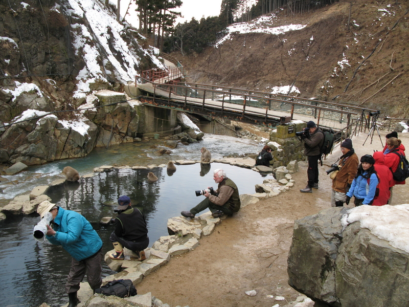 Photographer's Paradise, next is Go Around