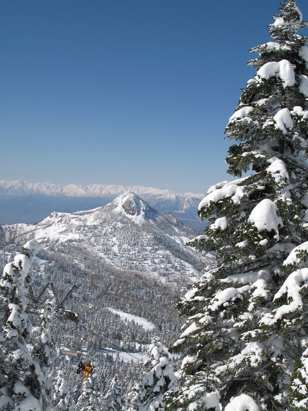 Shibutoge Through the Trees, next is View Above the Moguls