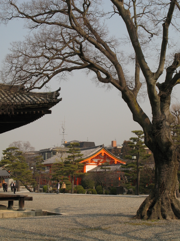 Sanjusangendo Courtyard., next is Bound Tree