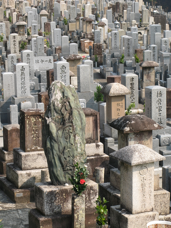Nishi Otani, next is Kiyomizu Wood