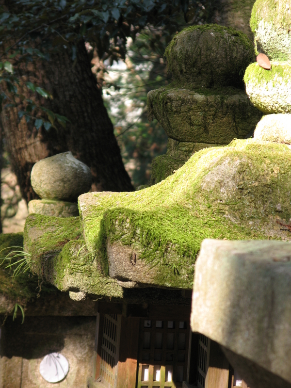 Park Lanterns, next is Kasuga Taisha Blocks