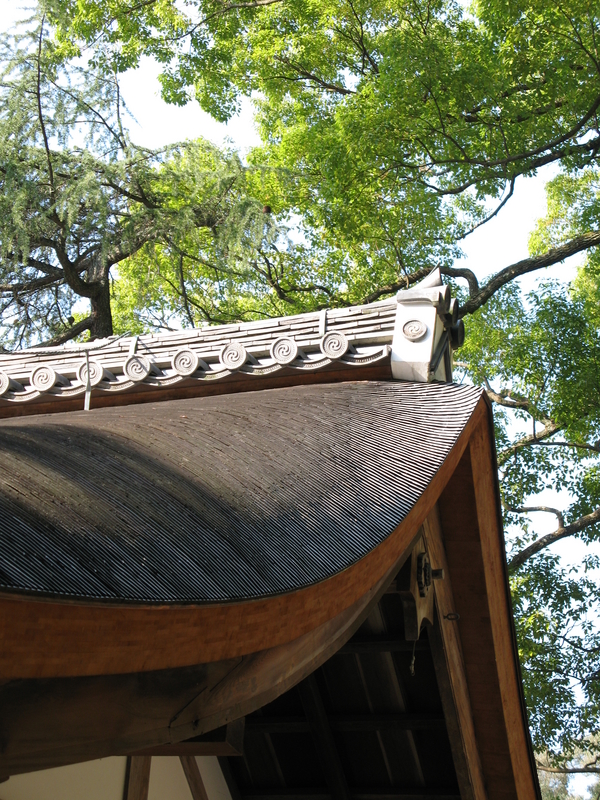 Kasuga Wakamiya Roof, next is Sagi-ike Pond