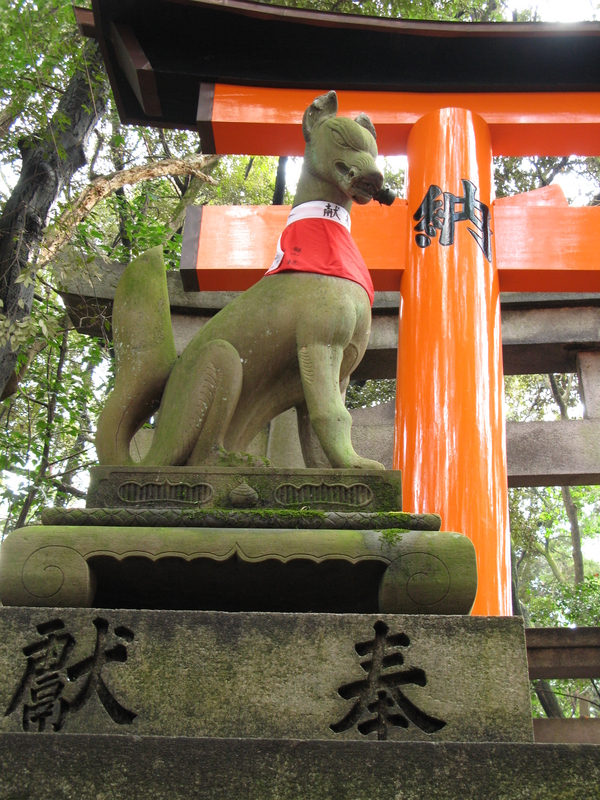 Stone Fox, next is Torii