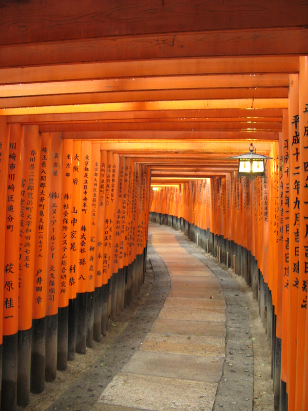Torii, next is Fushimi-inari Forest