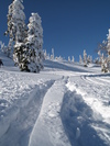 Shibutoge Off Piste (470K)