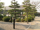 Sanjusangendo Garden (599K)