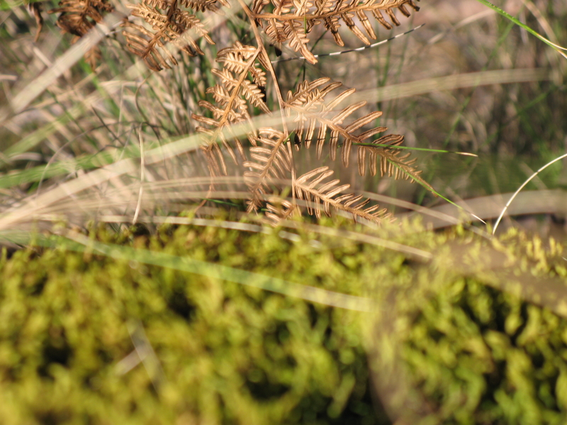 Thunderbolts Moss, next is Thunderbolts Post