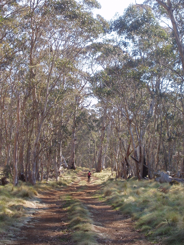Polblue MTB, next is Devils Hole Lookout