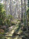 Thunderbolts Trail (536K)