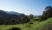 Hookes Creek Morning (482K)