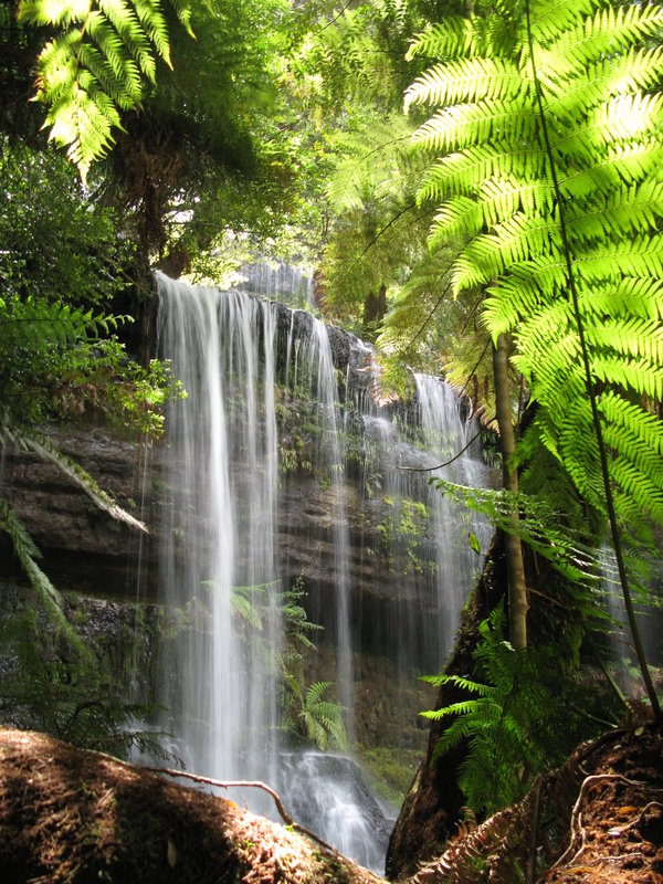 Russell Falls, next is Russell Falls Rob & Pratiwi