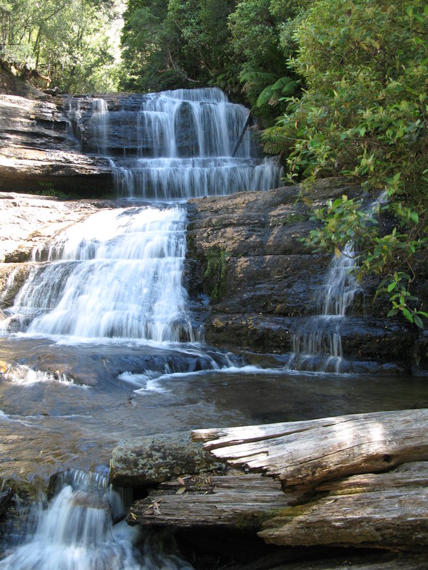 Lady Baron Falls, next is Russell Falls Steps