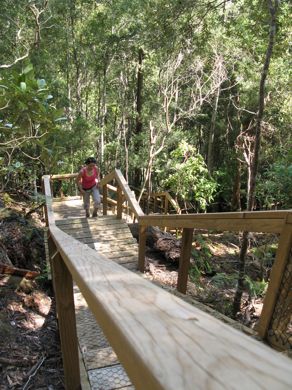 Russell Falls Steps, next is Lake St Clair