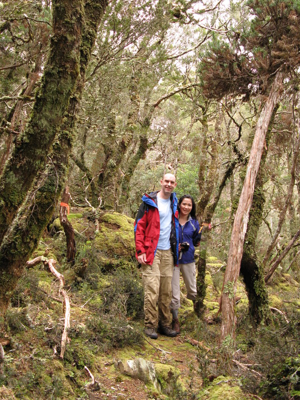 Mossy Couple, next is Pencil Pine Clearing