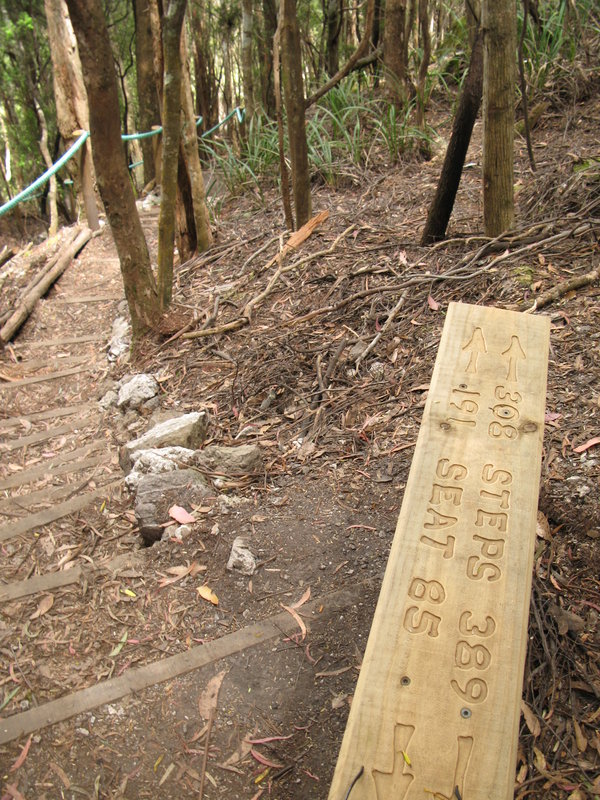 Leven Canyon Steps, next is Forth View