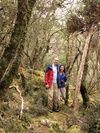 Mossy Couple (238K)