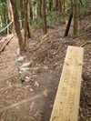 Leven Canyon Steps (190K)