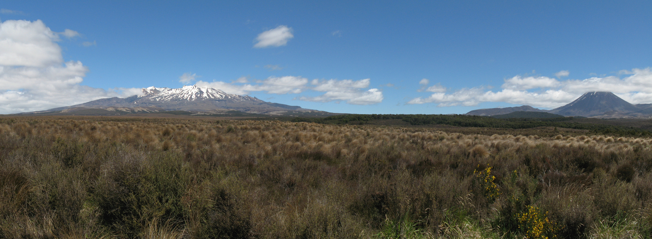 Mt Ruapheu & Mt Tongariro, next is Mt Tongariro