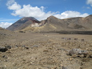 Tongariro Crater (526K)