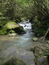 Tongariro Stream (574K)