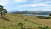 Coromandel Peninsula Views (784K)