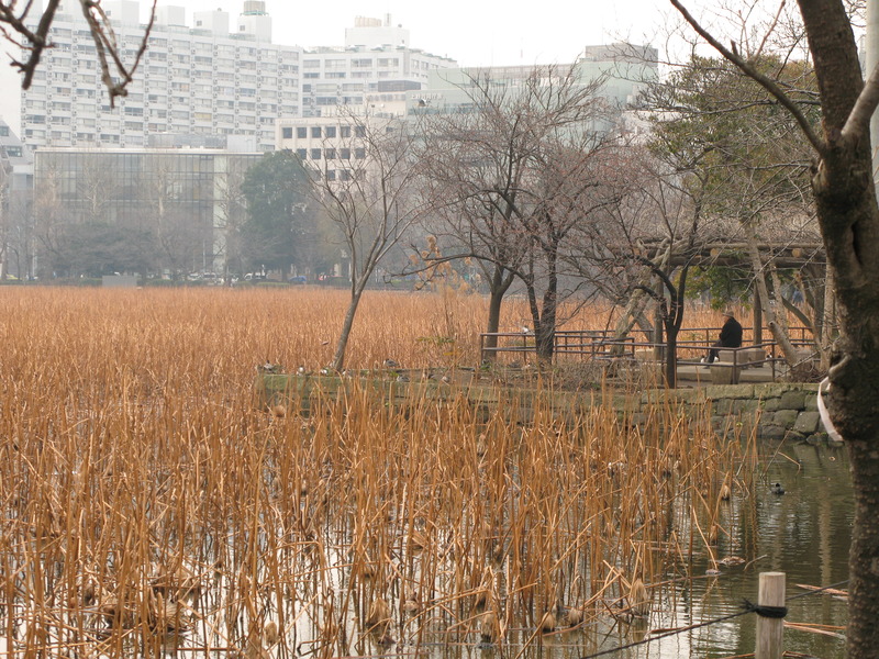 Ueno Park Lake, next is Hotel Metropolitan Marunouchi View